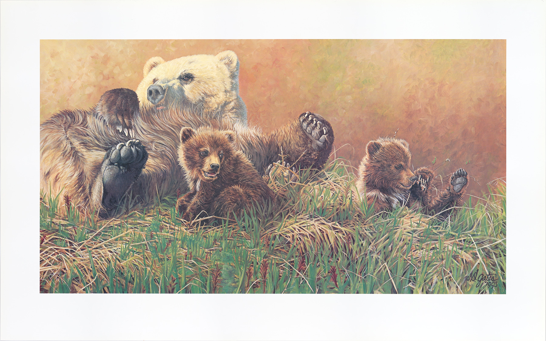 A sow grizzly watches over her carefree cubs
