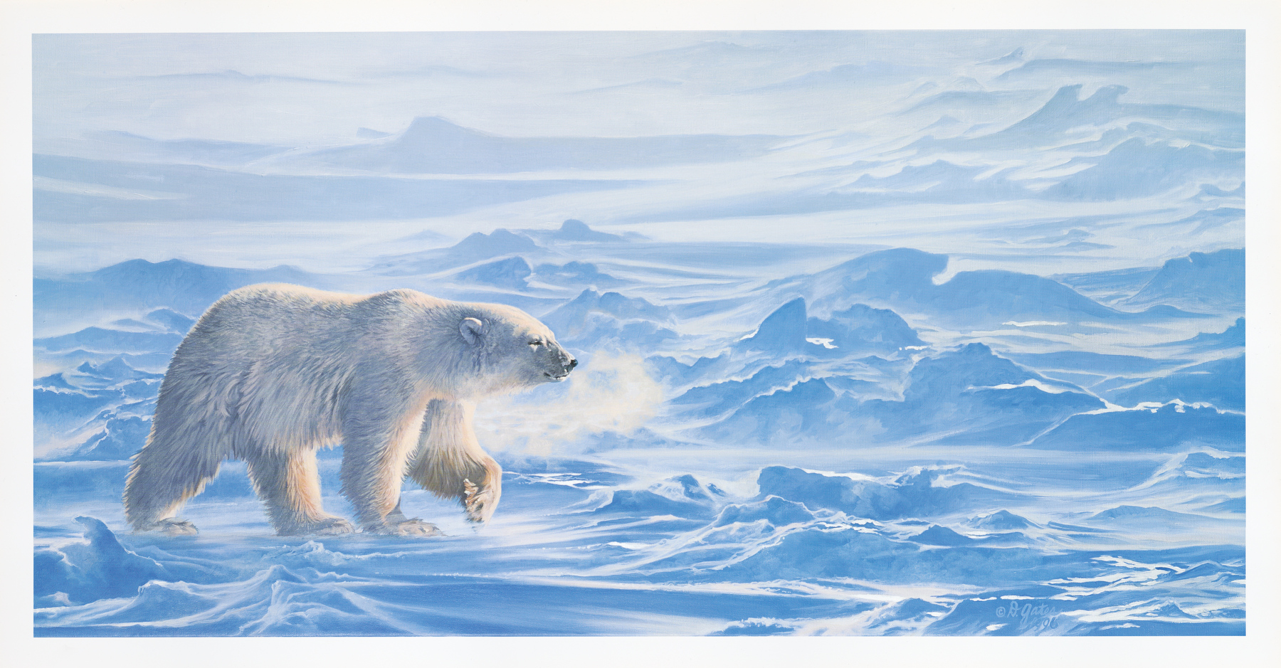 The windswept, Arctic home of the Polar Bear